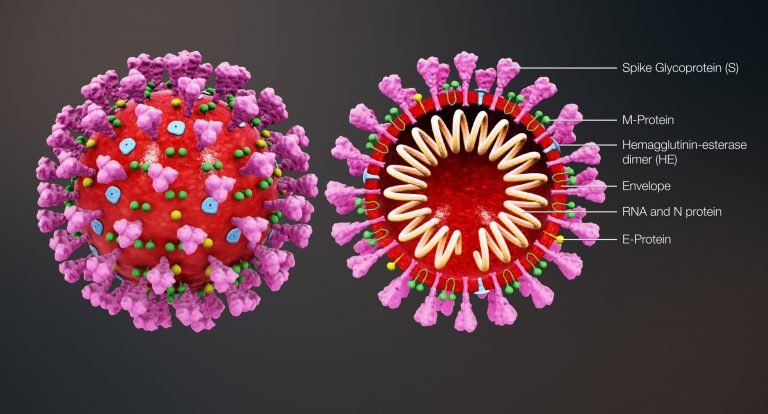 Coronavirus